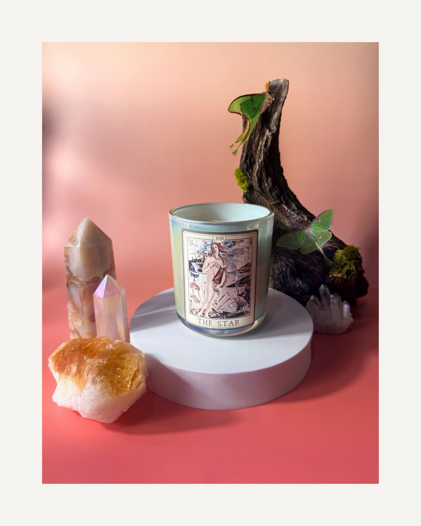 The Star Tarot Candle – Coconut Soy Wax, Crackling Wooden Wick, Aquatic Amber Basil Scent | Positive meaning of the Major Arcana